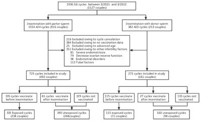 Effect of inactivated COVID-19 vaccination on intrauterine <mark class="highlighted">insemination</mark> cycle success: A retrospective cohort study